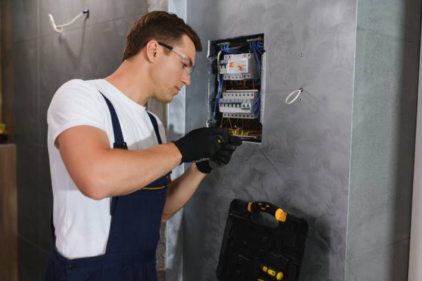 Best Home Electrical Repair  in Momence, IL